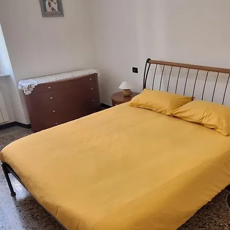 La Casa Dei Gatti Matti *