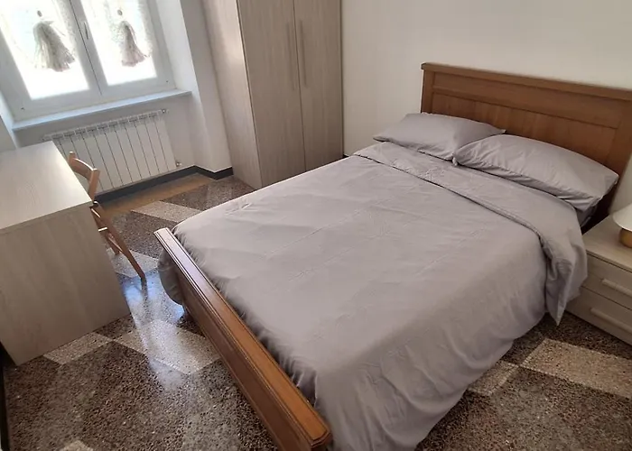 La Casa Dei Gatti Matti *