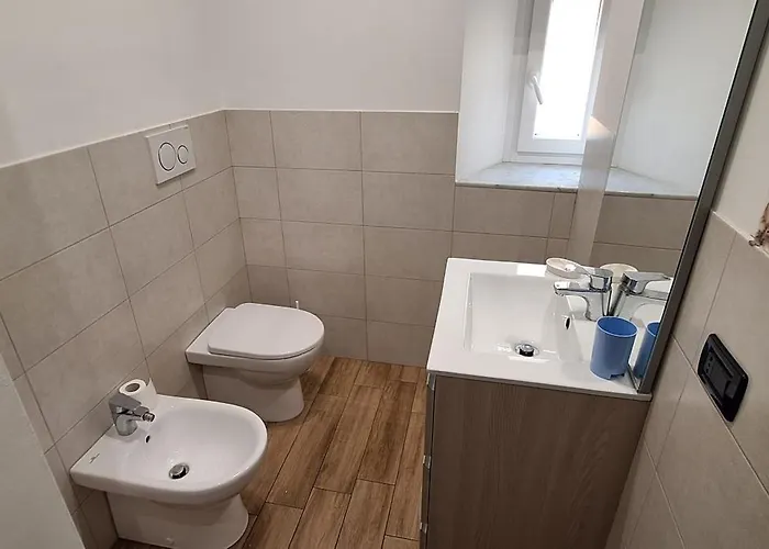 La Casa Dei Gatti Matti