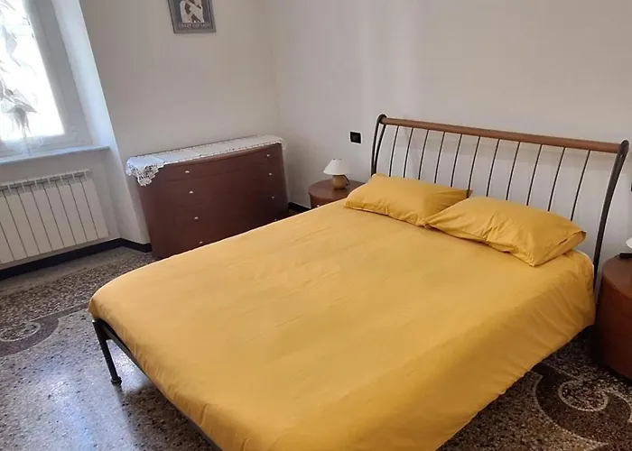 La Casa Dei Gatti Matti *